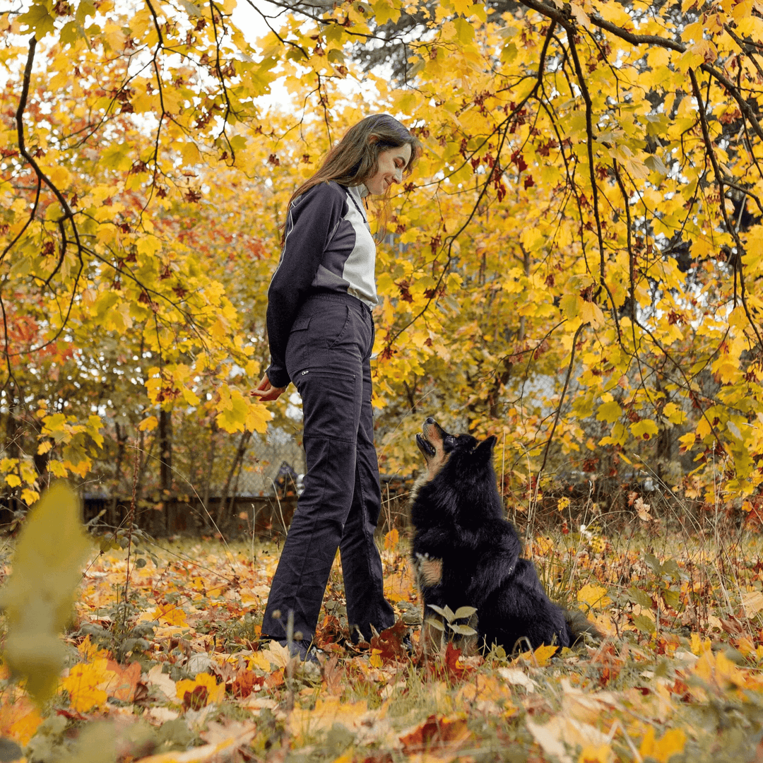 Educateur canin Aix-les-Bains, Chambéry, Annecy et alentours