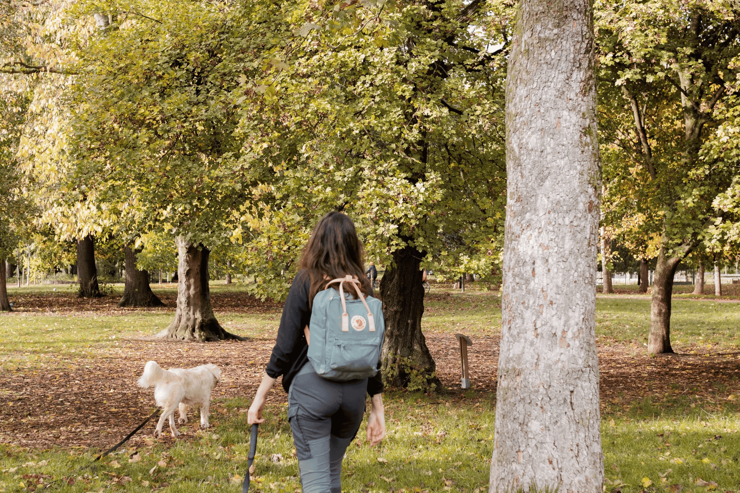 Petsitting à Chambéry : balades et visites à domicile